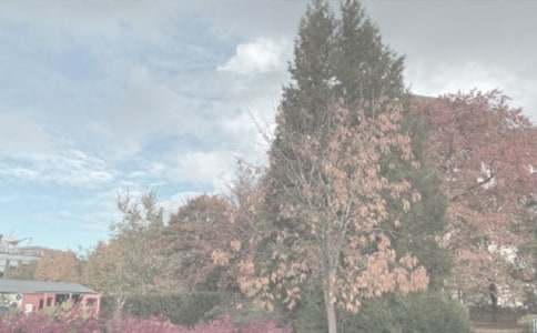 �������p��{�Ꭷֲ��@���f�~