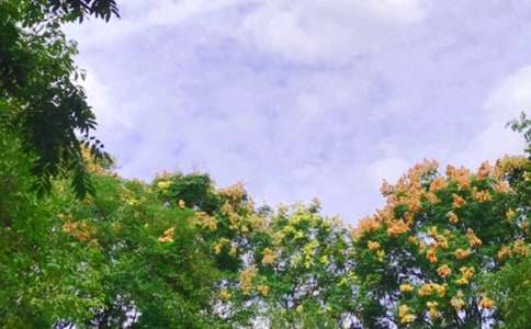 �옷����������200��