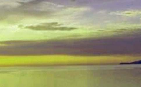 夏天的中午作文(11篇)