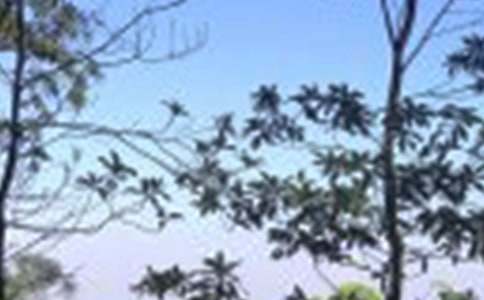 �������������(����5ƪ)