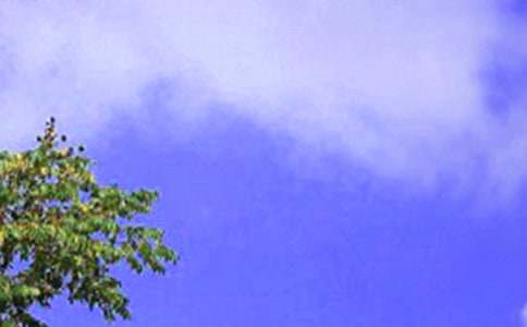 ��������300�֣�ͨ��50ƪ��