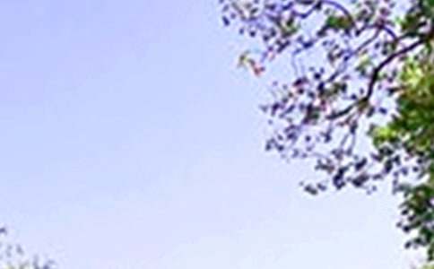 中午作文300字9篇