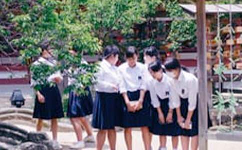 中學(xué)生以鳥為主題的作文600字