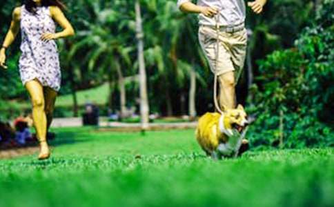 關于周末作文九篇