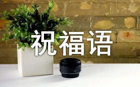 ����������ů��ף���Z210��