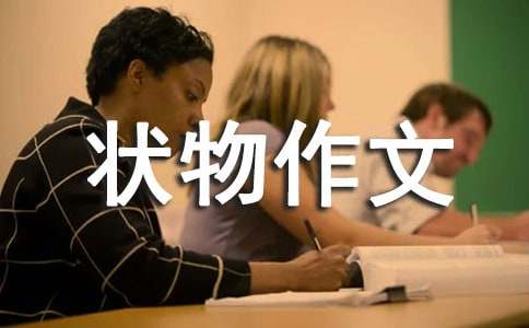 ���õĳ�һ��������300�ְ�ƪ