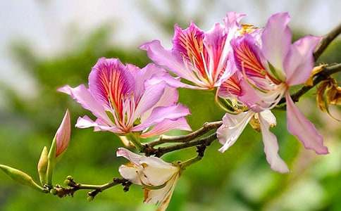 ���G������500�֣����x31ƪ��