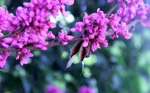 �����G��������