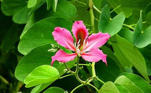 ���G���_���꼉����