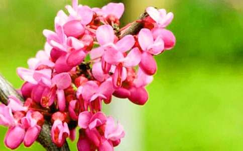 ���G������