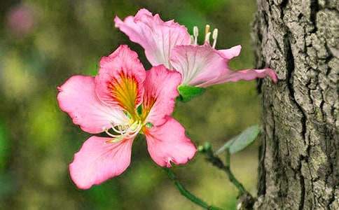 ���G������650��