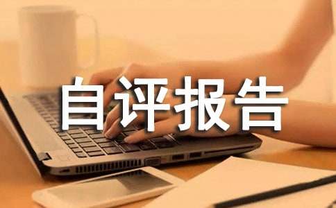 績效自評報(bào)告