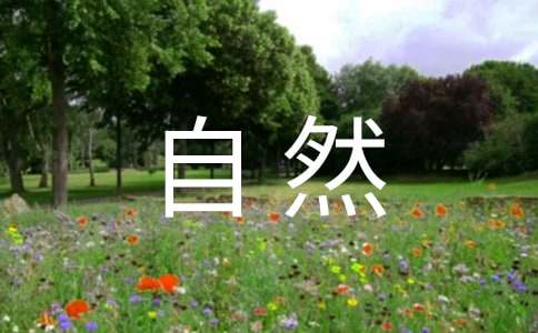 ����Ȼ���Z�Խ̰��O(sh��)Ӌ��ͨ��15ƪ��