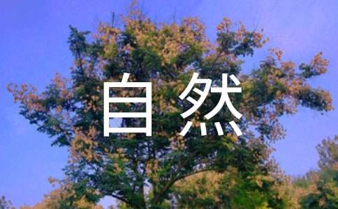 感受大自然教案