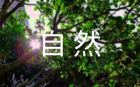 ��(d��o)���~���P����Ȼ���o(h��)�^(q��)