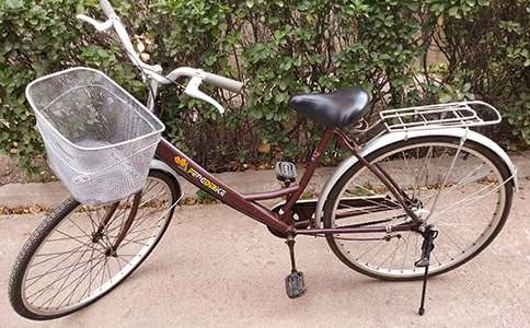 自行車的自述作文(精選22篇)