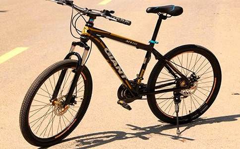 第一次騎自行車作文