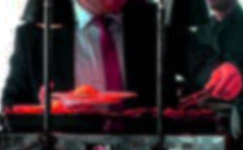 ��һ�γ����������ģ�ͨ��15ƪ��