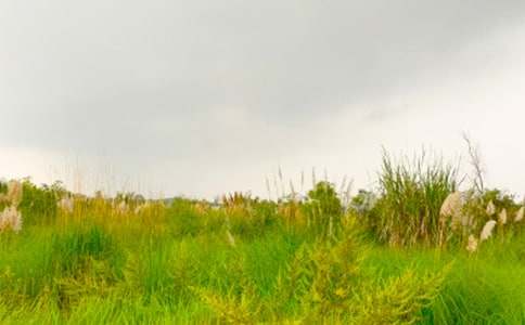 讀《走進和諧的春天》有感作文500字