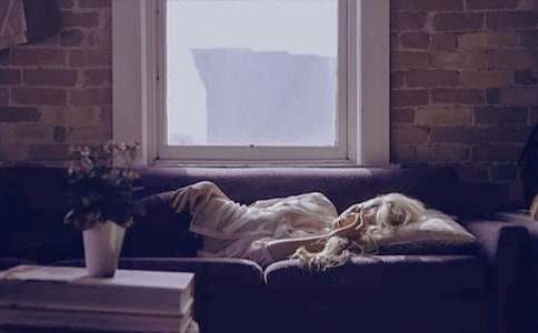 兔子做夢(mèng)作文