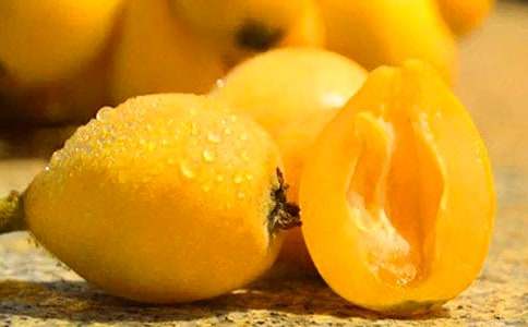 枇杷的作文300字3篇