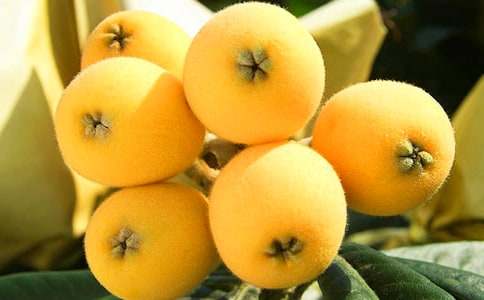 ժ��������