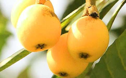 �����˘������