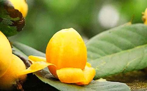 ���P(gu��n)���˘����ĺϼ�7ƪ