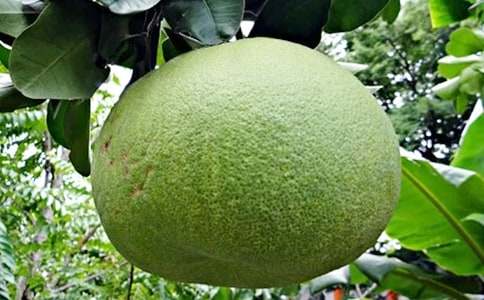 ��������Ә�����