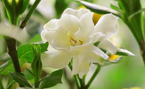 �d�ӻ��ĳ������ģ�ͨ��24ƪ��