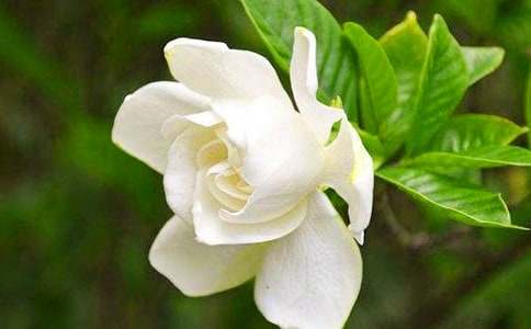 �d�ӻ��_��(y��u)���������