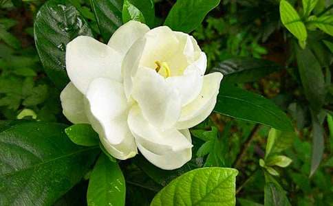 �ҵ��ഺ���Зd�ӻ�����