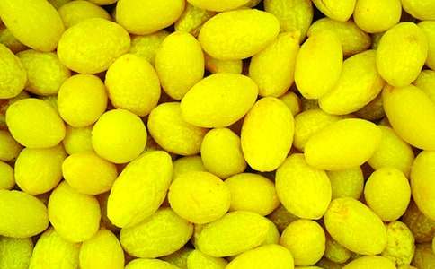 ���е��ϙ��_1500��