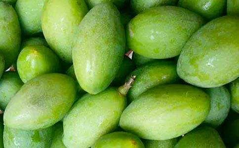 那一片橄欖綠初一作文