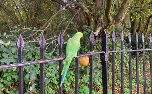 �茑�W�^������200�֣�ͨ��52ƪ��