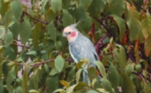 ����֮�B-�茑�W�^������650��