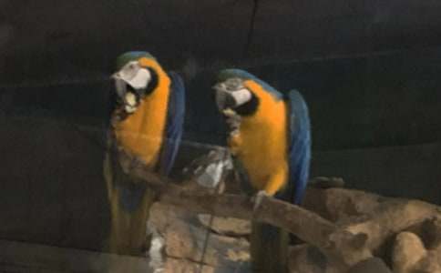 �W�^�~���ąR��9ƪ