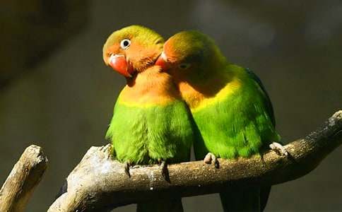 �茑�W�^������600�֣�ͨ��36ƪ��