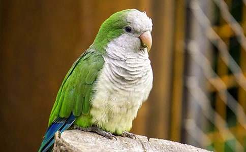 �Ҽҵ��W�^����