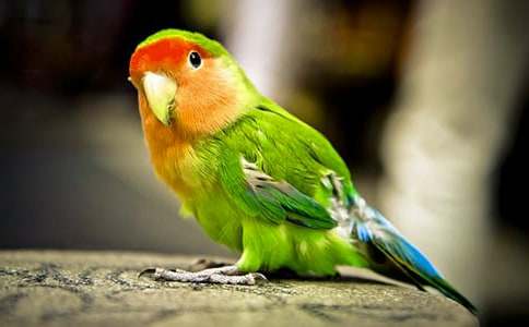 �W�^�~(y��)���ĺϼ�8ƪ