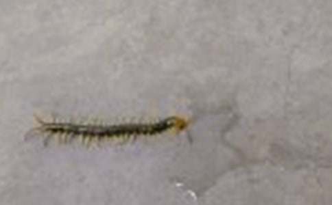 ��������Α�С������ِ