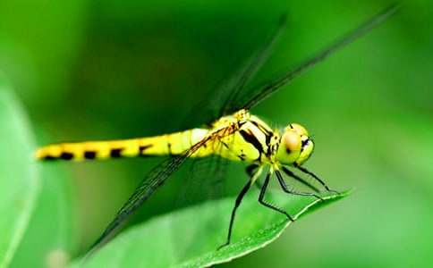 ���t���ѡ��̌W(xu��)�O(sh��)Ӌ