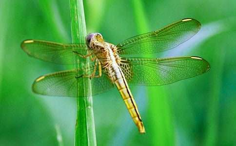 �����c(di��n)ˮ����������