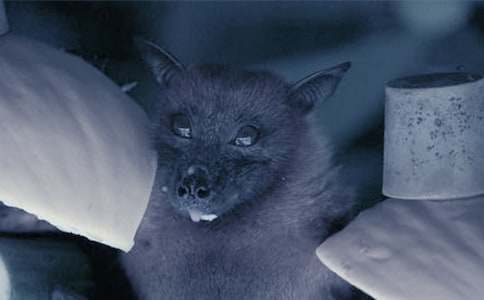 ����Ȼ����Ć�ʾ���ķ��ģ����x4ƪ��