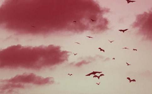 ����������_(d��)����(y��u)��̰�