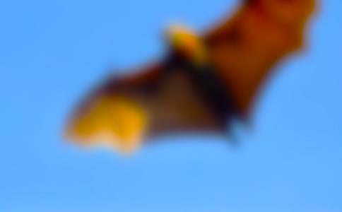 ����������_���̌W�OӋ��(y��u)��