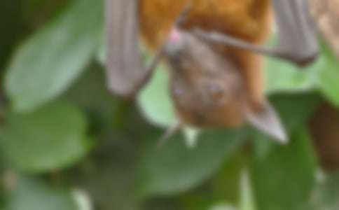 ����������_(d��)����(y��u)�㽛(j��ng)��̌W(xu��)�O(sh��)Ӌ(j��)��ͨ��5ƪ��