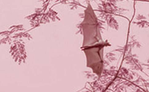 ����С�W(xu��)�����ģ�ͨ��51ƪ��