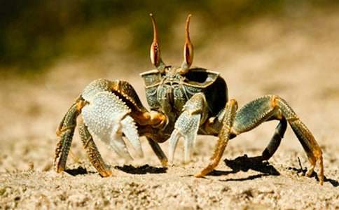 �аࡶС�з���̌W�O(sh��)Ӌ