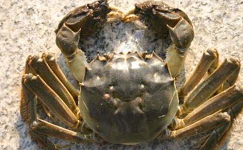 �аཡ���M�е�С�з�������@�̰�